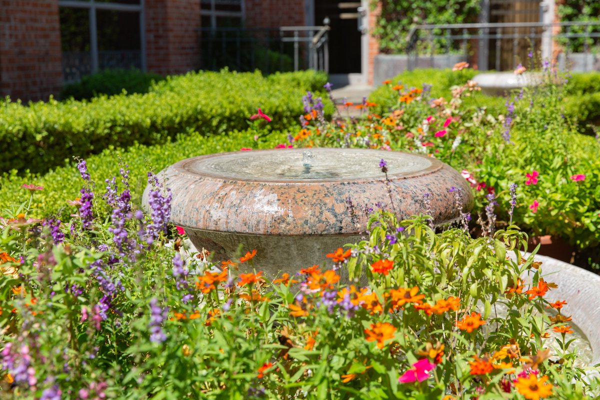 Trinity University Alumni Association tweet media