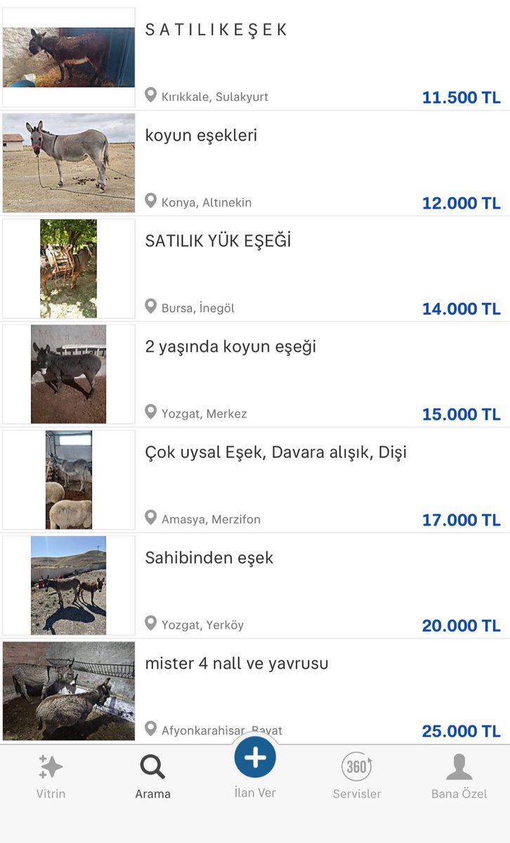 traderHk_'s tweet photo. SON DAKİKA | Son gelen motorin zamlarından sonra eşek fiyatların da artış görüldü. https://t.co/NPodbOPzNk
