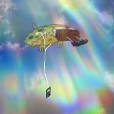 Dr. Phog Allen Burner PhD tweet media