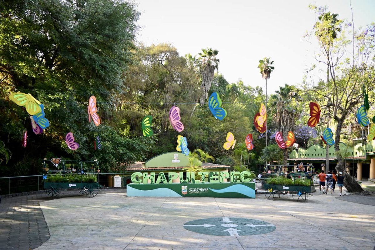 Secretaría de Turismo Morelos tweet media