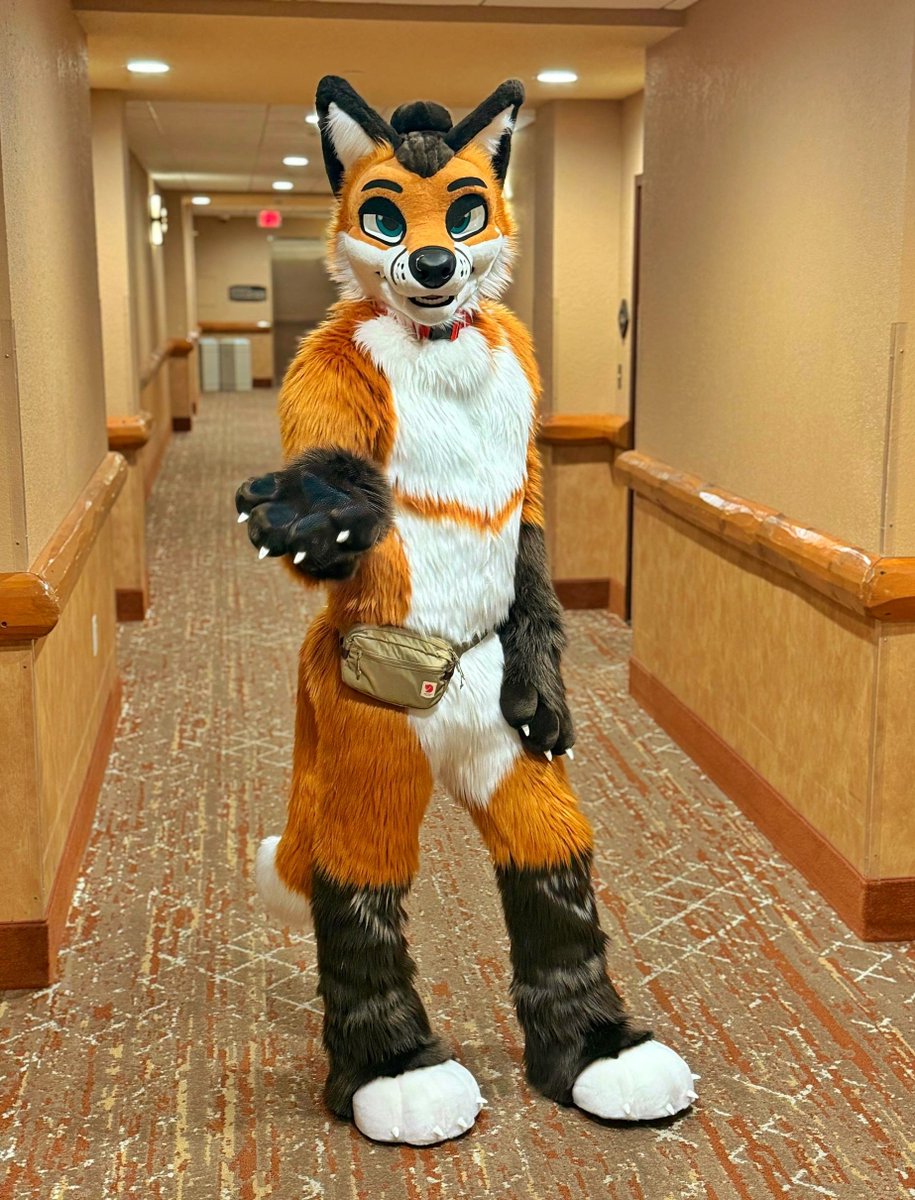 Sondyr. 🦊 tweet media