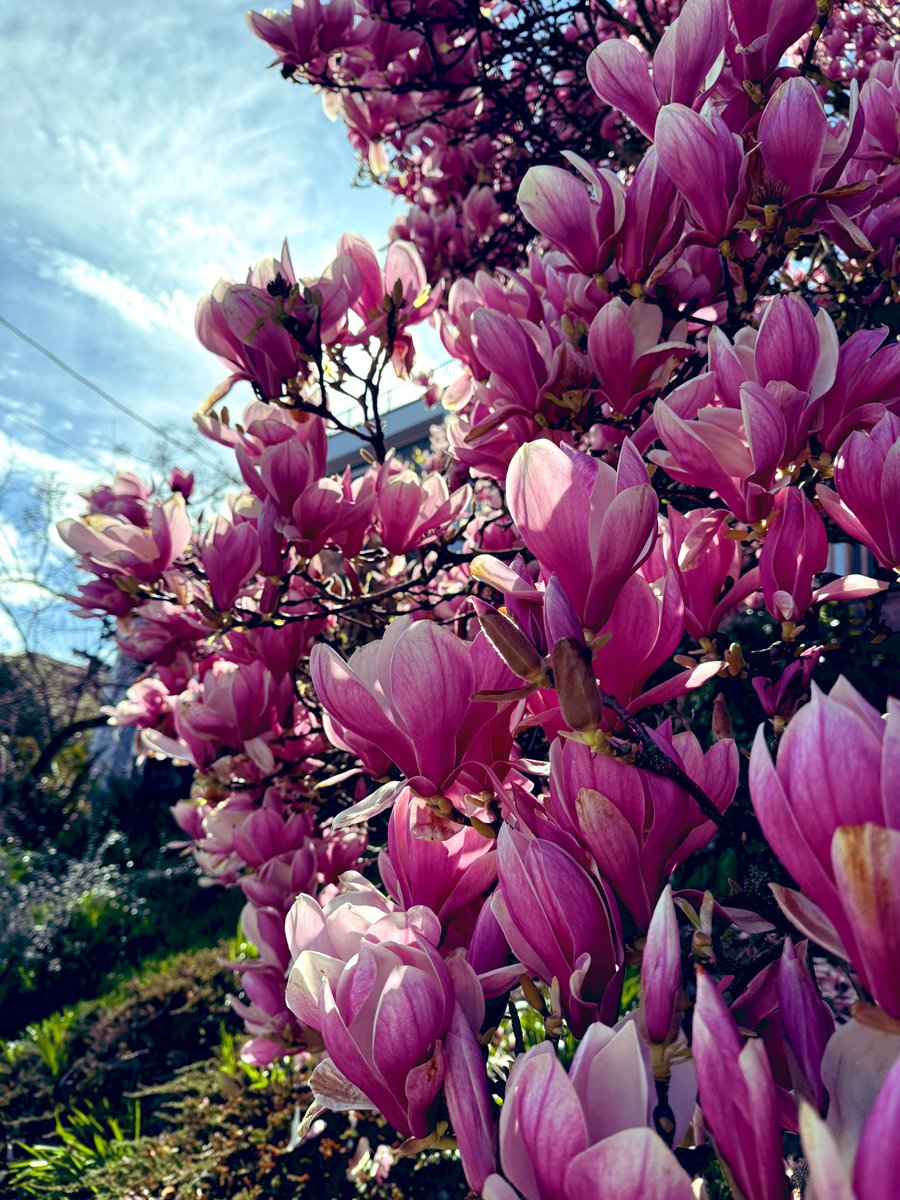 Bubb Rubb tweet media