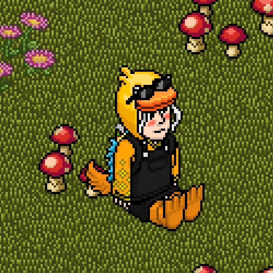 Pato malvado tweet media