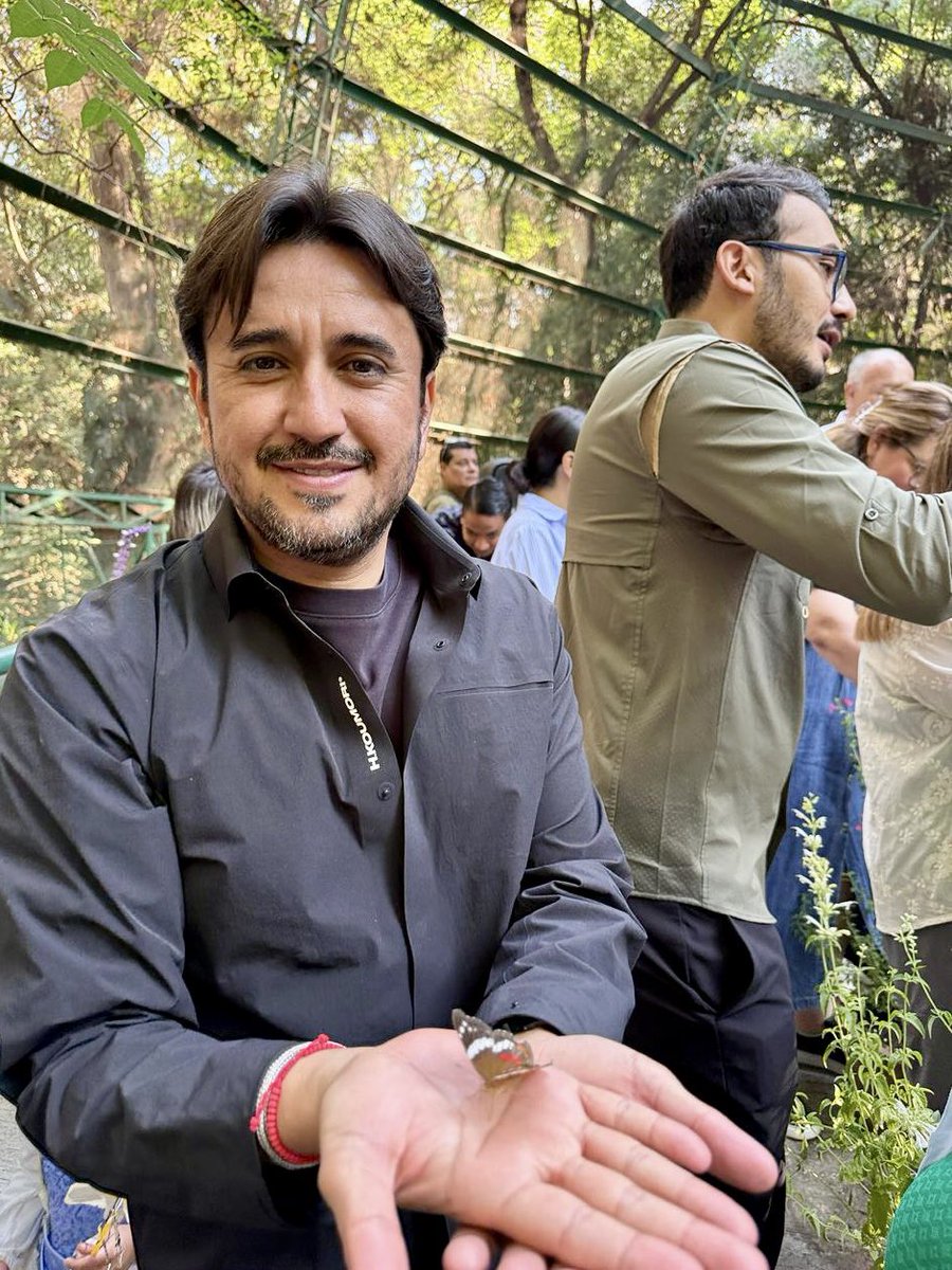 Daniel Altafi tweet media