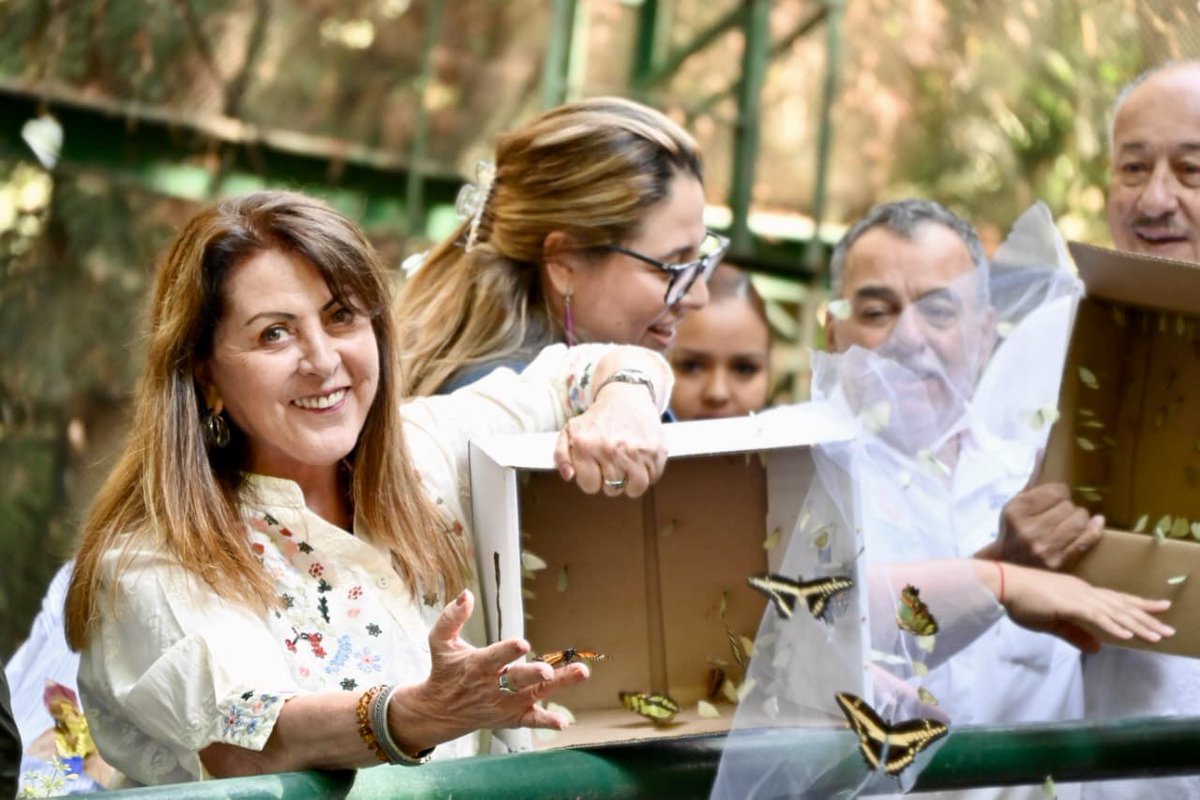 Daniel Altafi tweet media