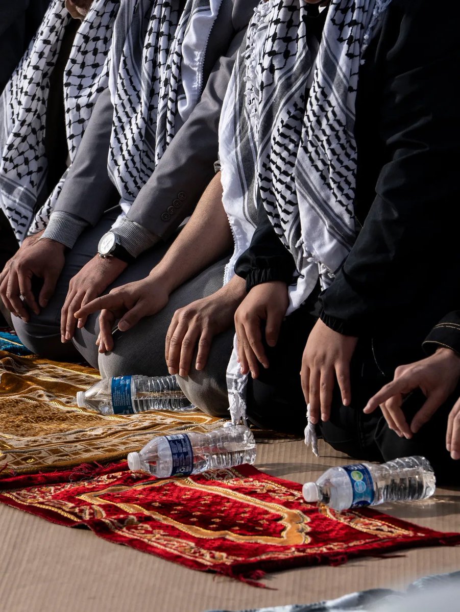 Tariq Malik ™ tweet media