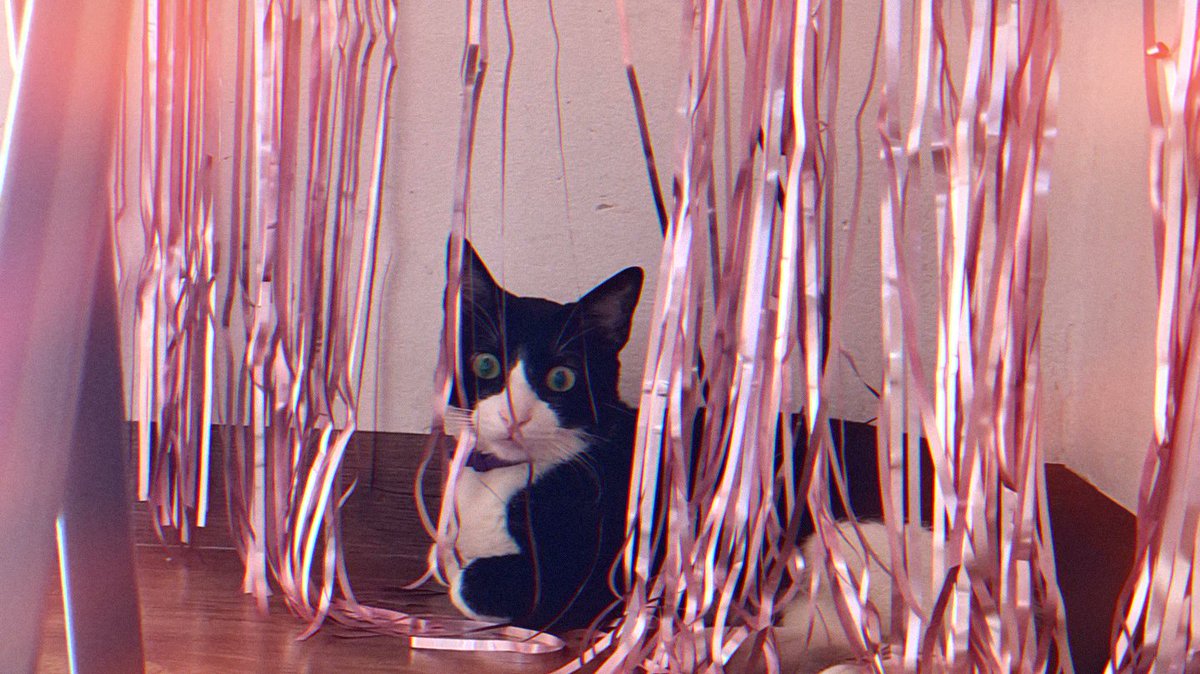 andrea.hz 💫 | re-branding arc tweet media