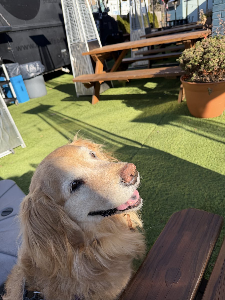 zerobeta tweet media