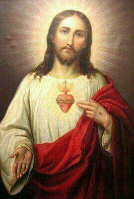 Apostolado Montfort 🇻🇦 tweet media