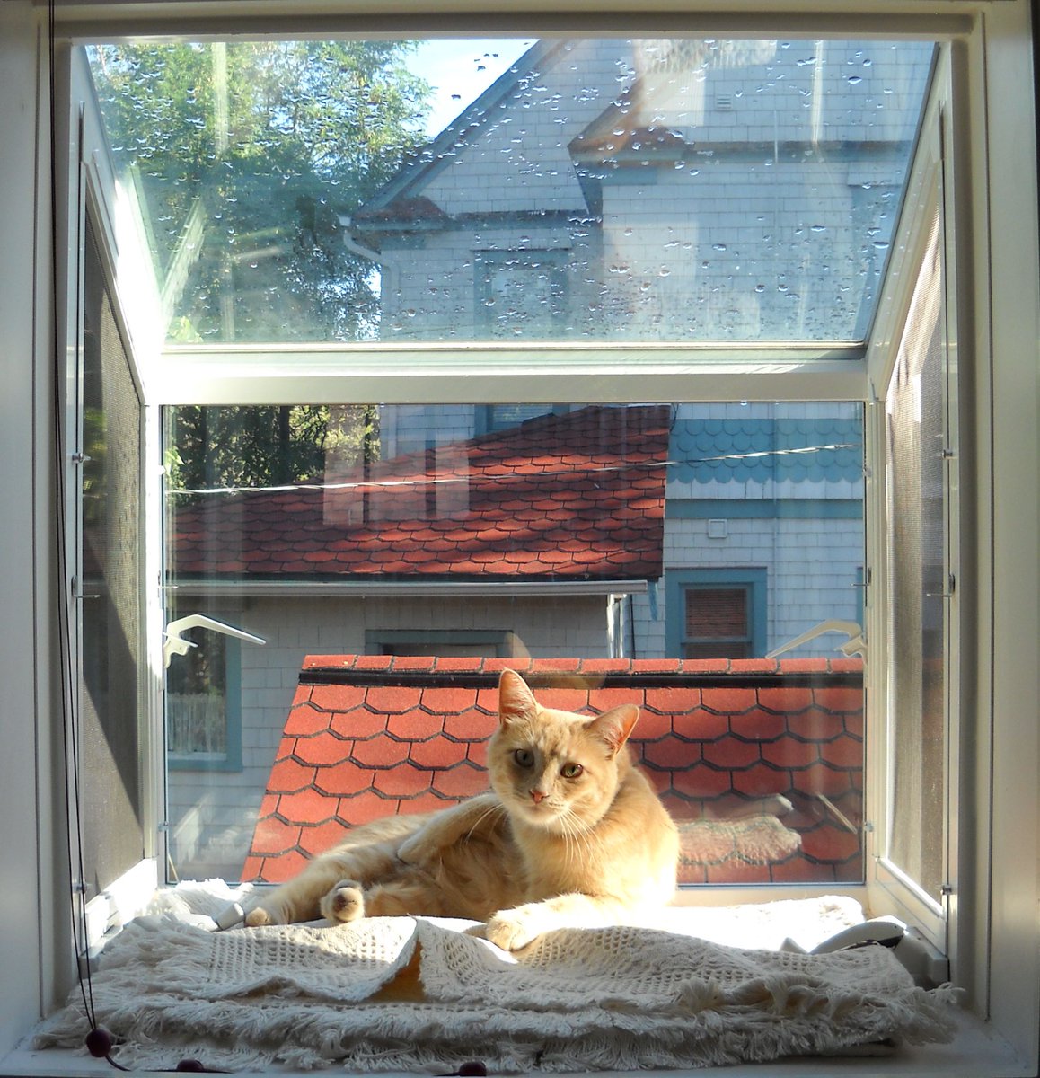 Mark Arnest tweet media