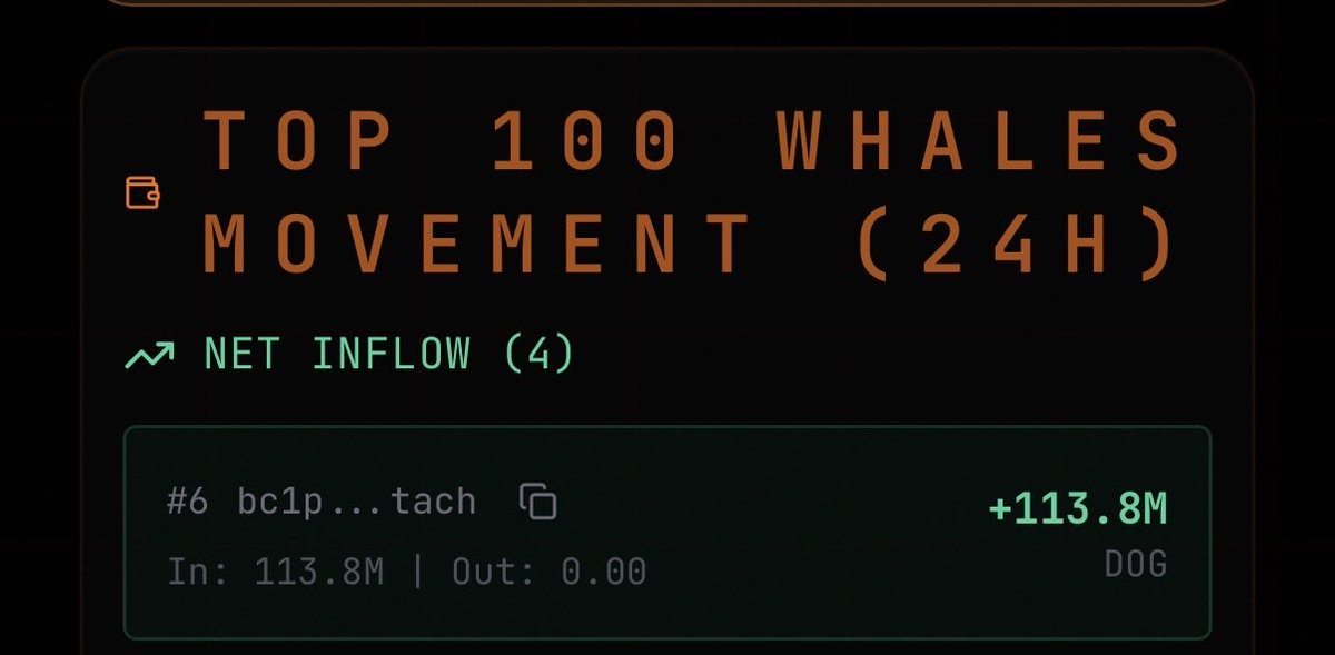 Vincent (Cryptolution) 👑 tweet media