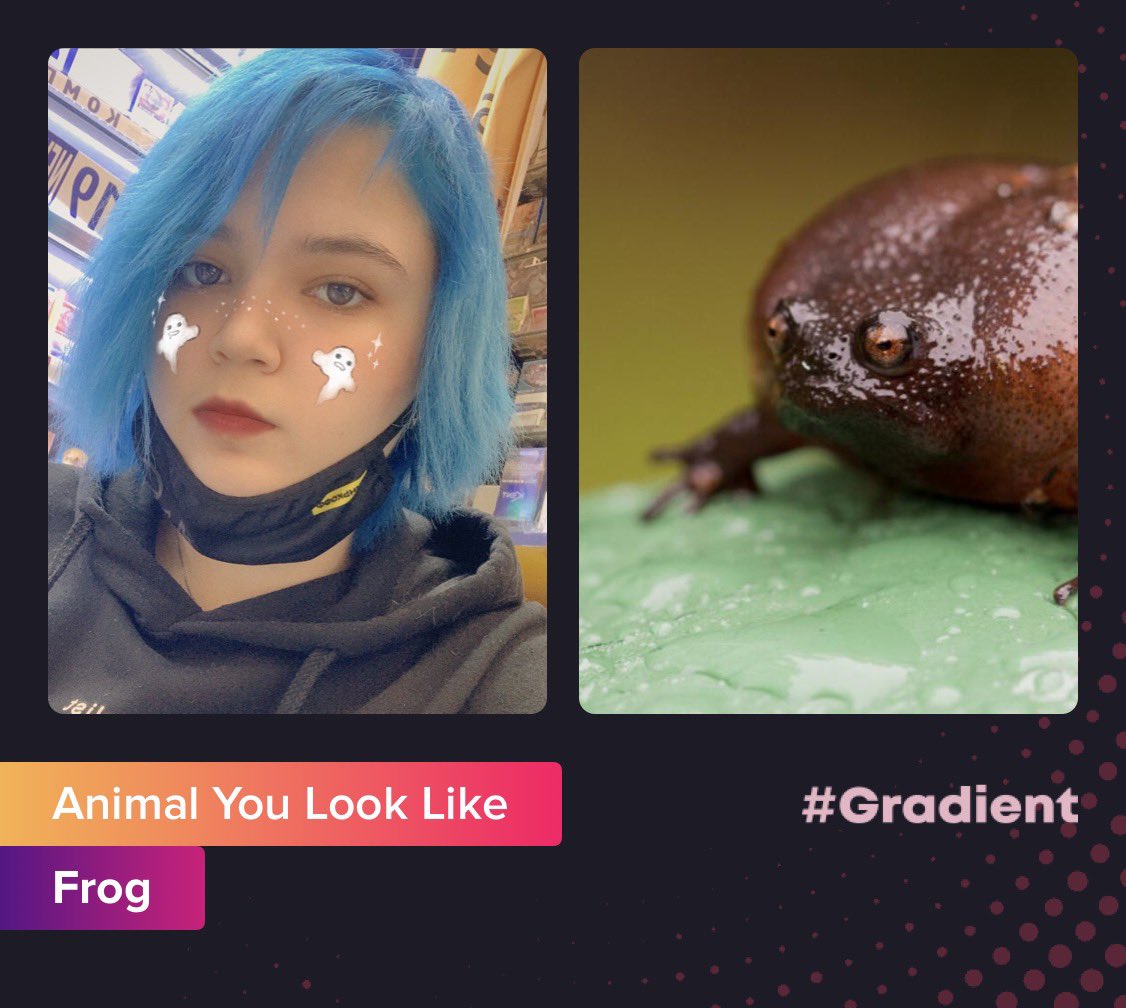 Луᓚᘏᗢ tweet media