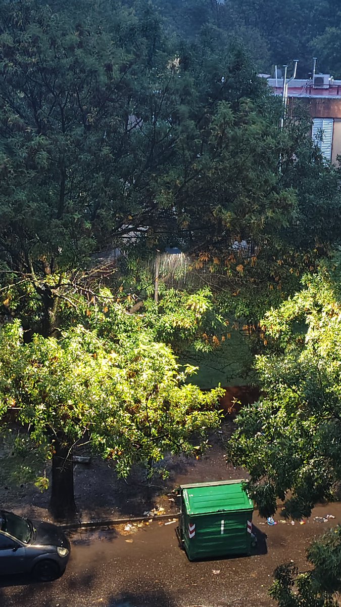 🇦🇷 ꜰɪᴄᴜꜱɴ'ᴛ tweet media