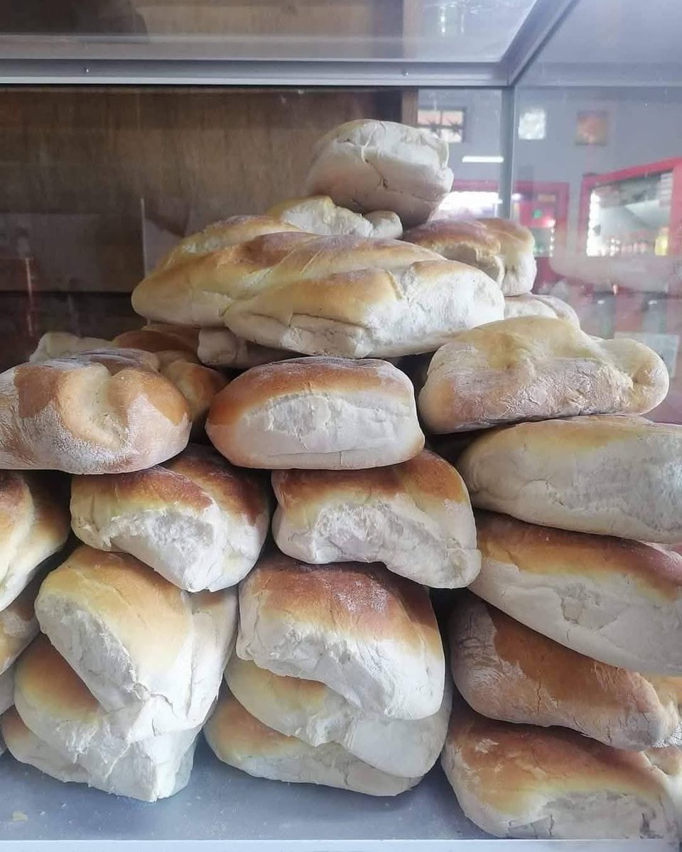 OZUNA 🧚🏻‍♂️❥ tweet media