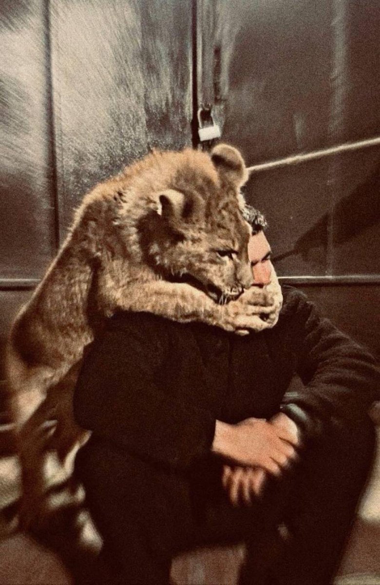 THE QSTORM DEFENDER tweet media