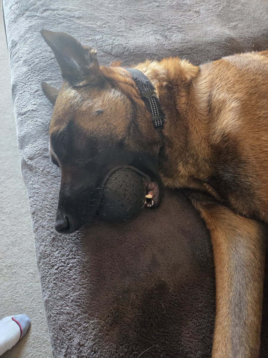 The Only James Magelk tweet media