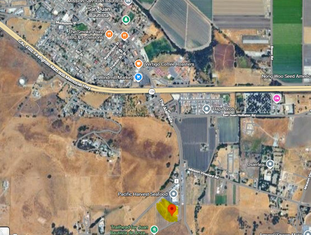 FREESPEECH101 tweet media