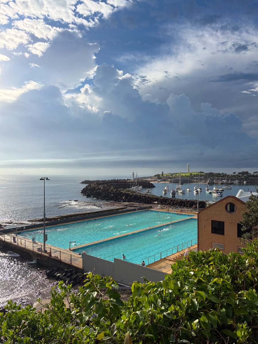 hingo🫡 tweet media