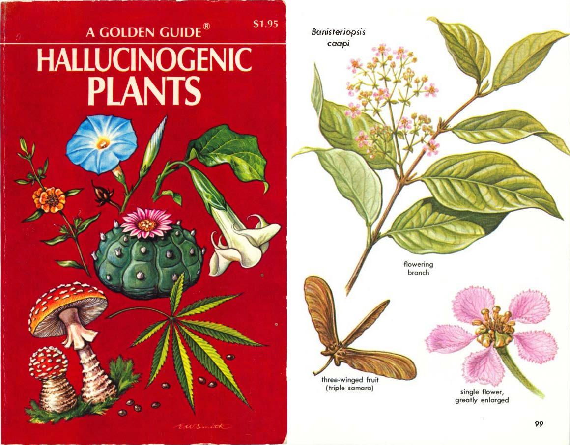 Citizen Kino tweet media