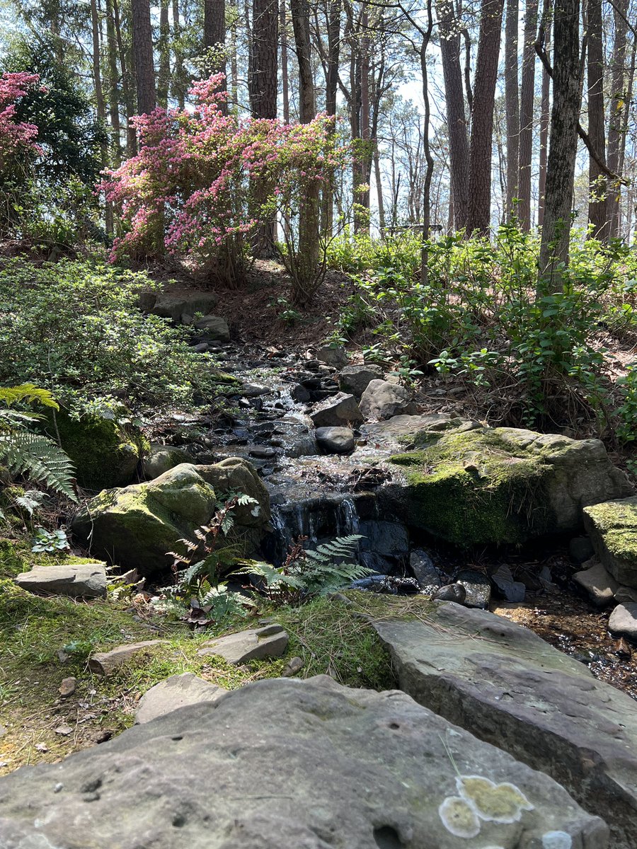 Stacey 🫧 tweet media