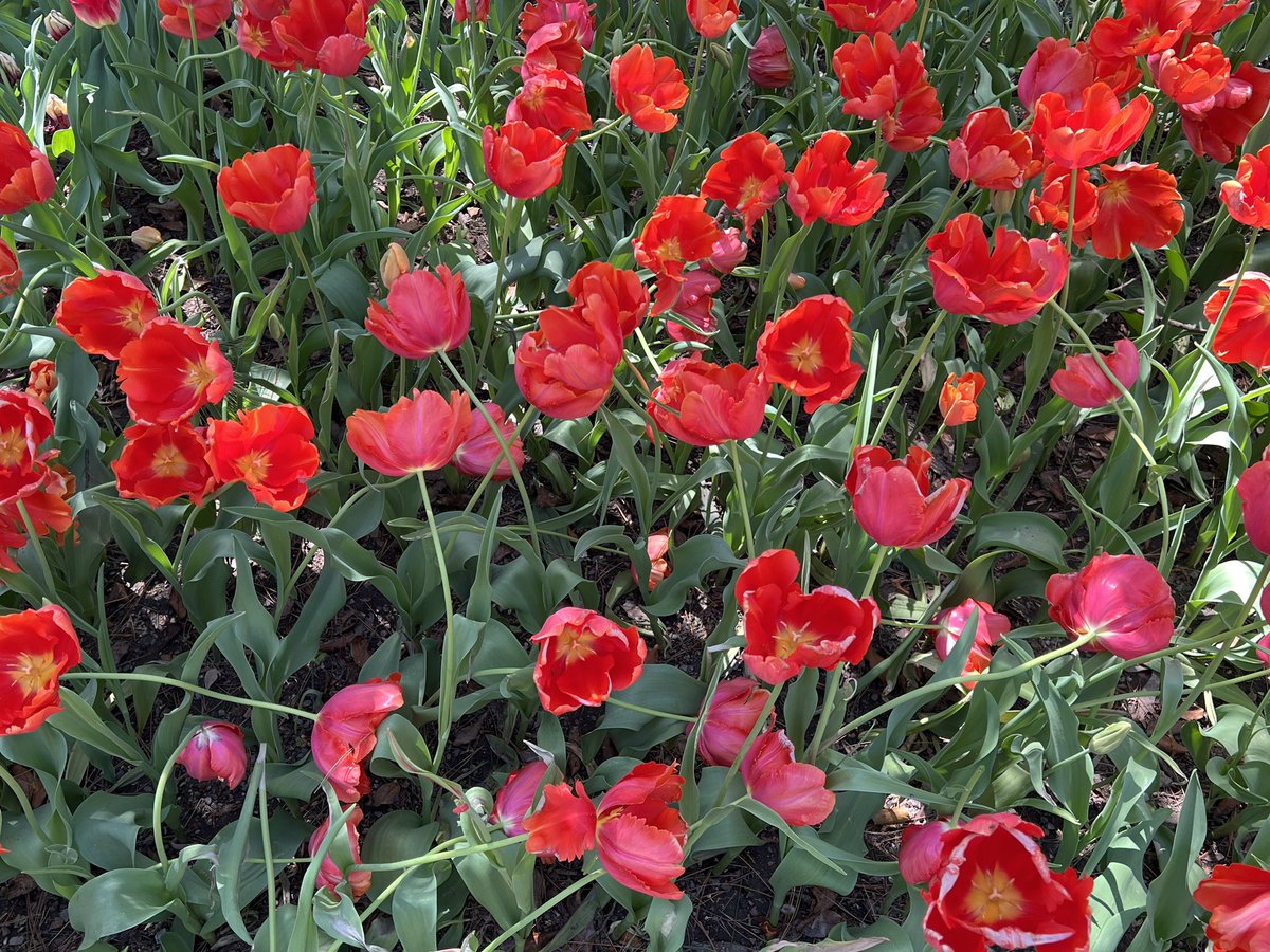 Stacey 🫧 tweet media