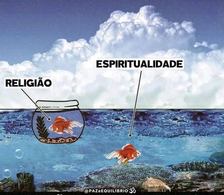 Luau Cartomante | Agenda Aberta tweet media