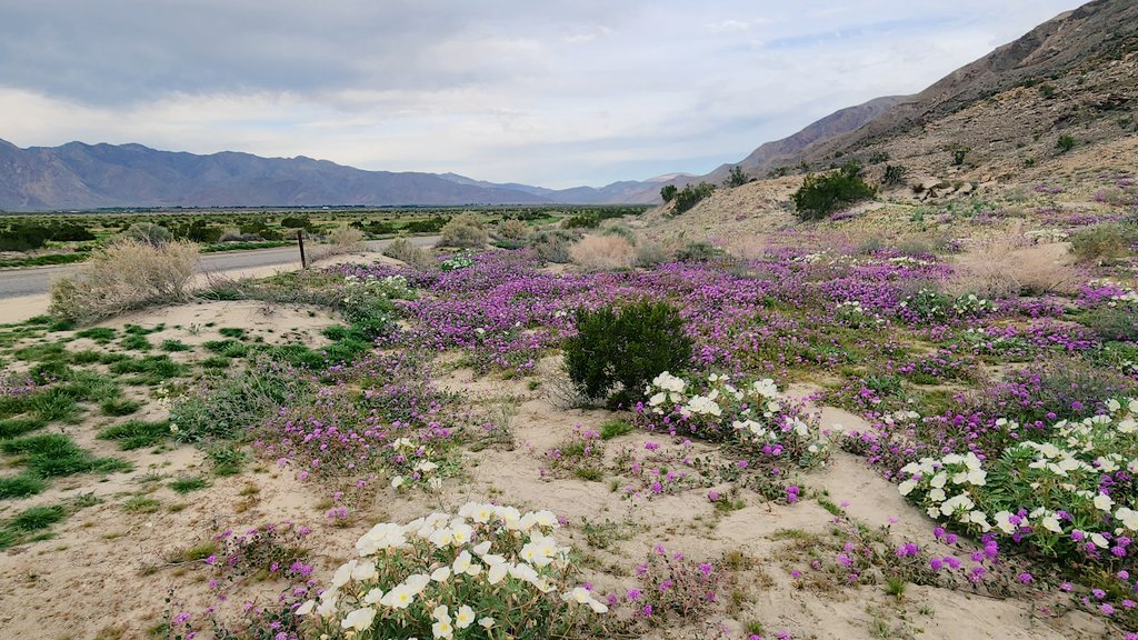 Jan 🇺🇸🌊🎶🍻✌❤ tweet media