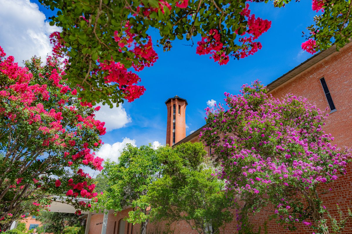 Trinity University Alumni Association tweet media