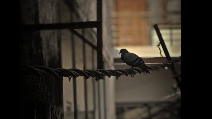 O’nu bulmaya çalışırken, aslında O’nun beni çoktan bulduğunu henüz fark edebilen ahmak bir kulum.