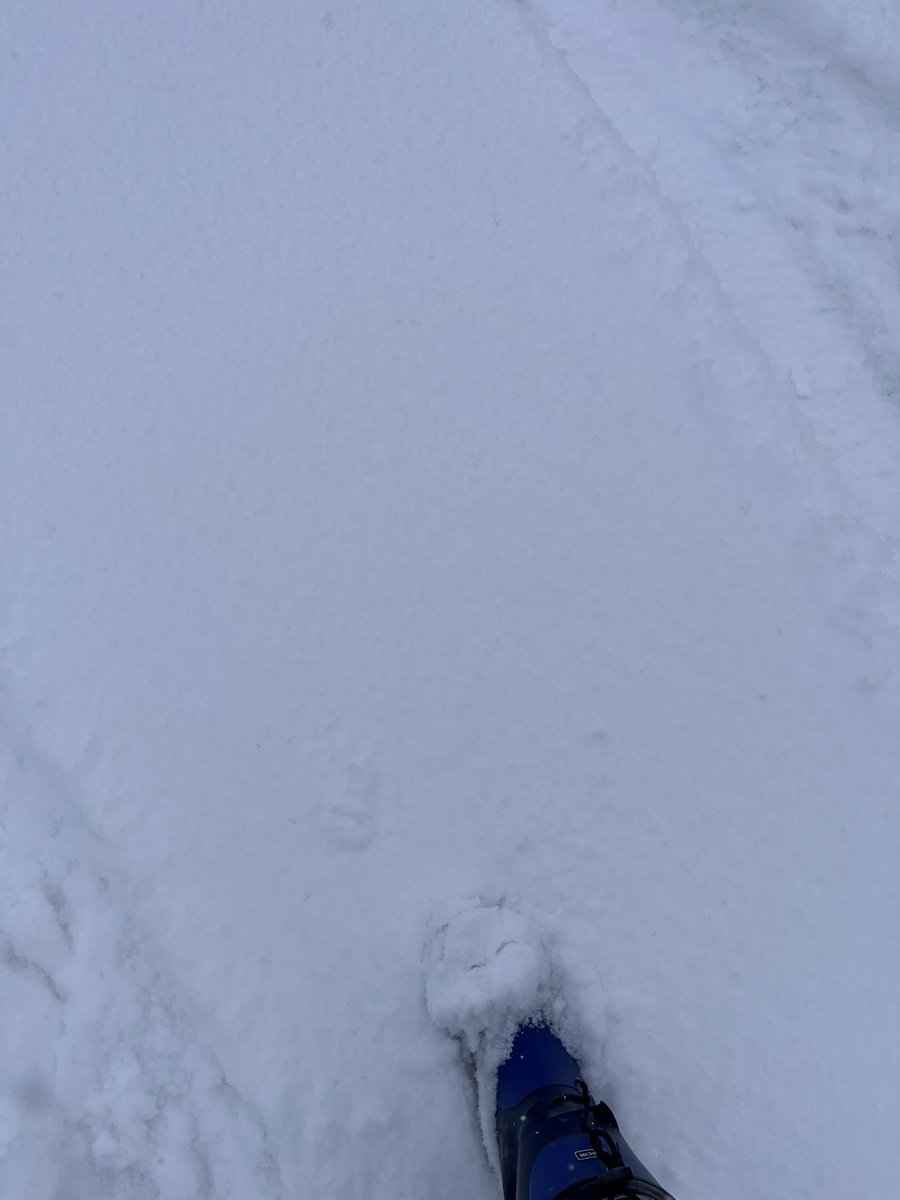 akio_255 tweet media