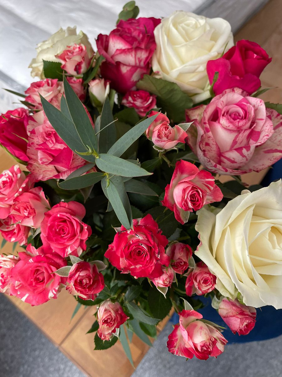 Miss Tess tweet media