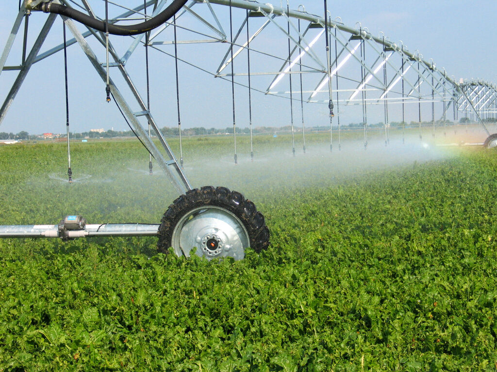 AbSugarBeetGrowers tweet media