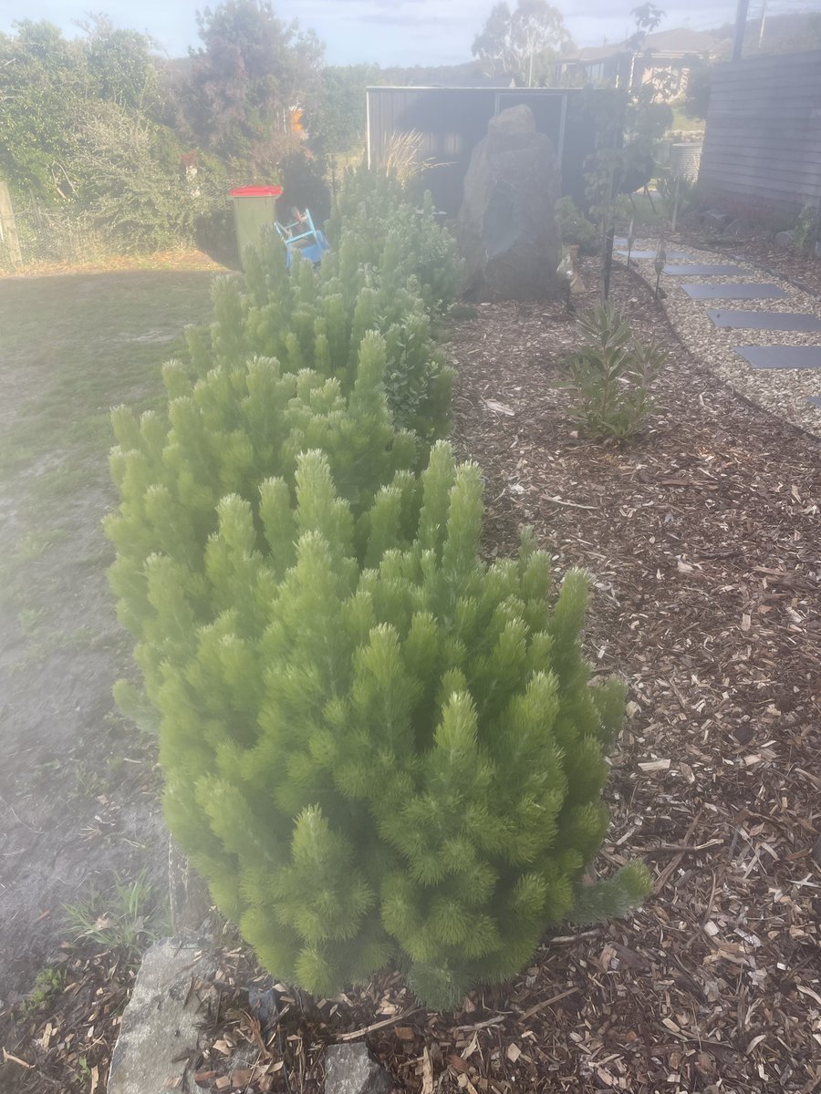 CATH.UNWIN tweet media