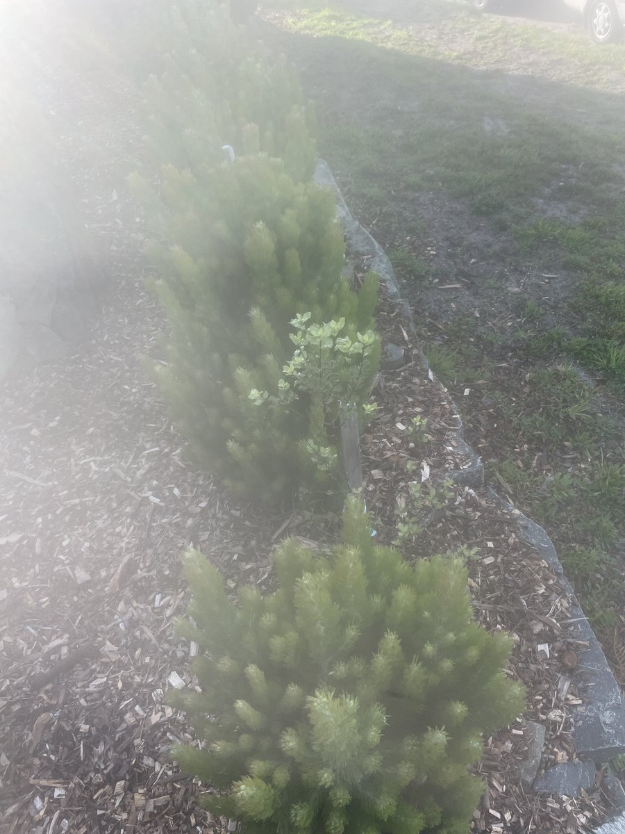 CATH.UNWIN tweet media