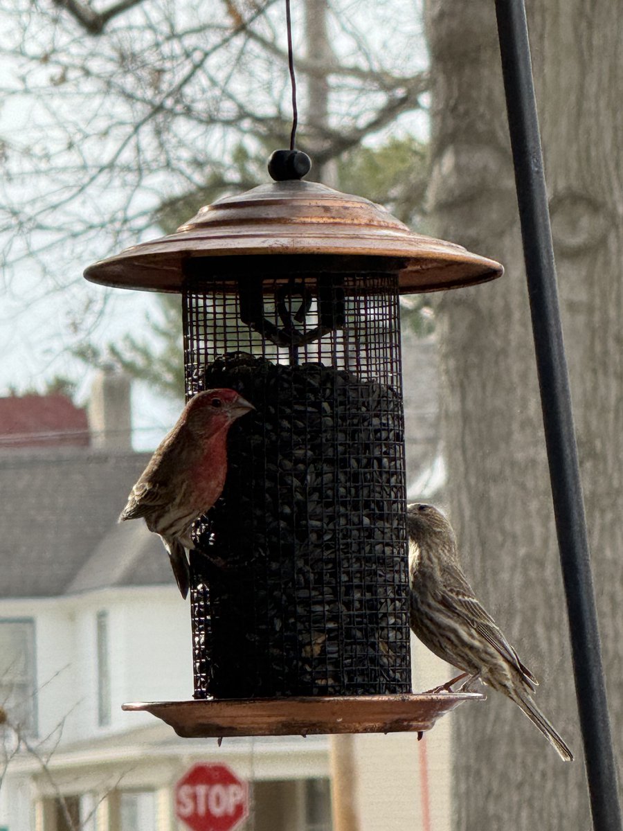 Ethan 🦣 tweet media