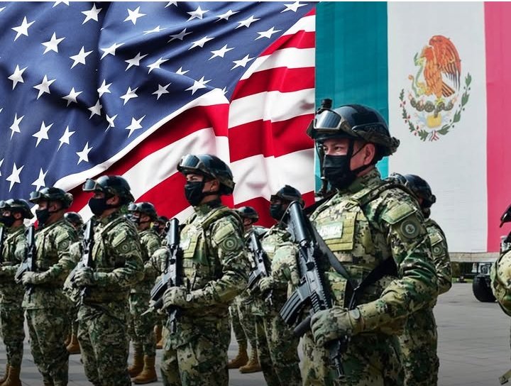 Código Enigma tweet media