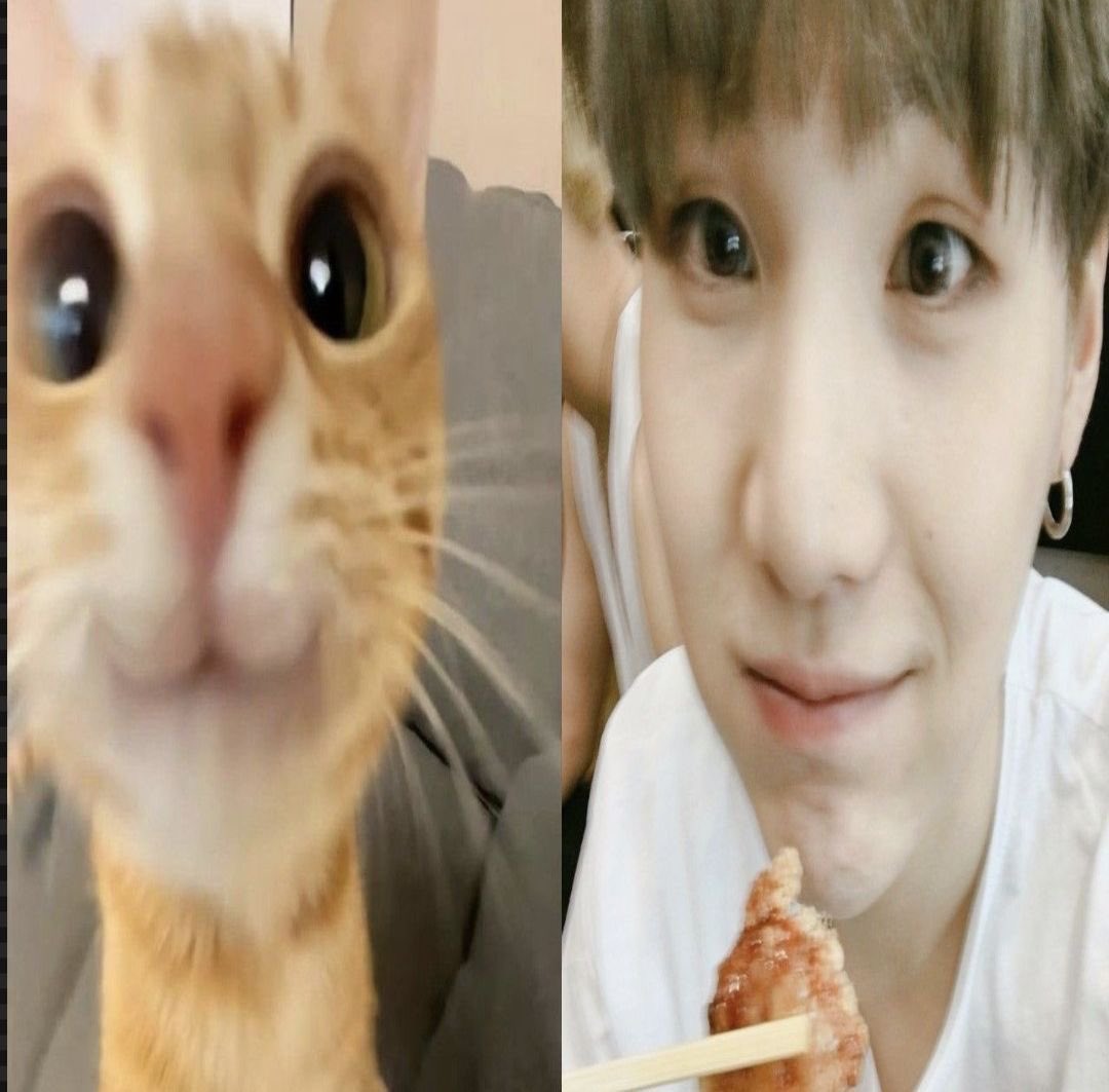 aninha𐙚 tweet media