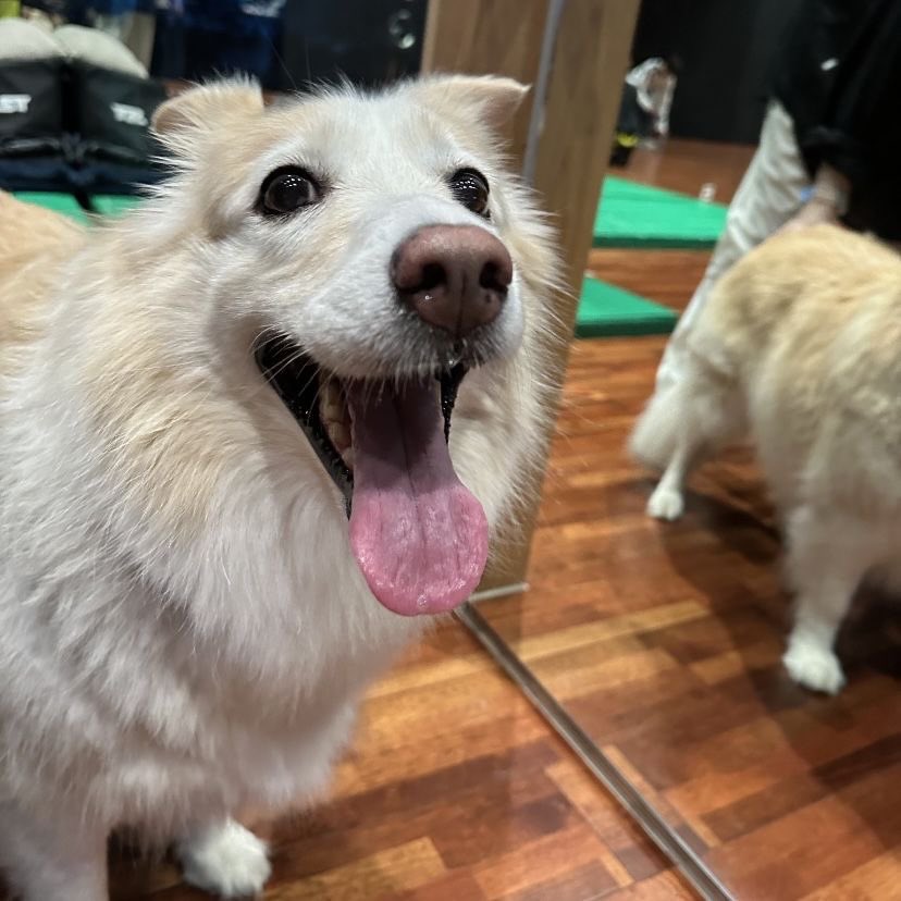 gis | ENHYPEN IS 7 tweet media