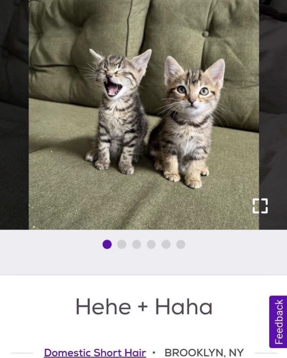 annie ✮ tweet media