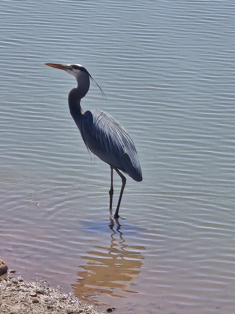 Craig Milkowski tweet media