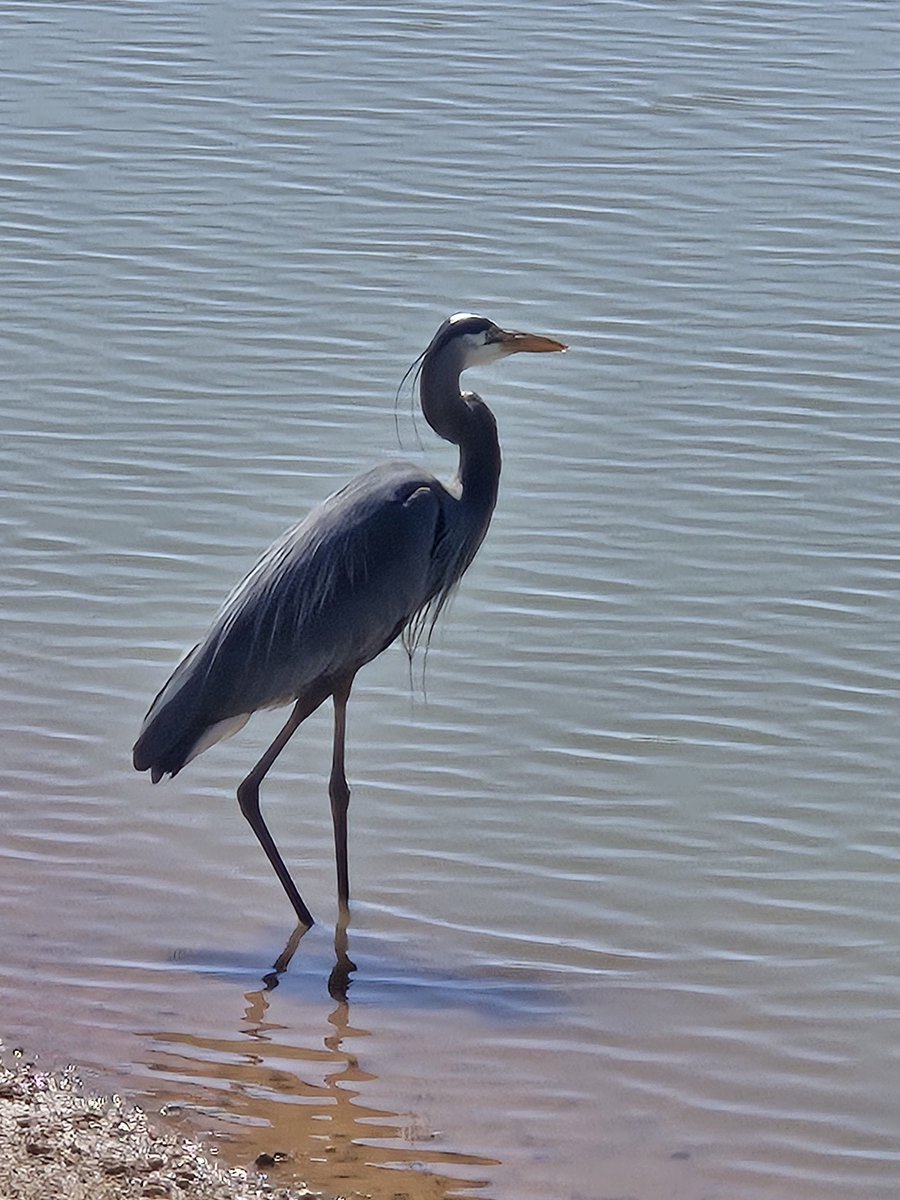 Craig Milkowski tweet media