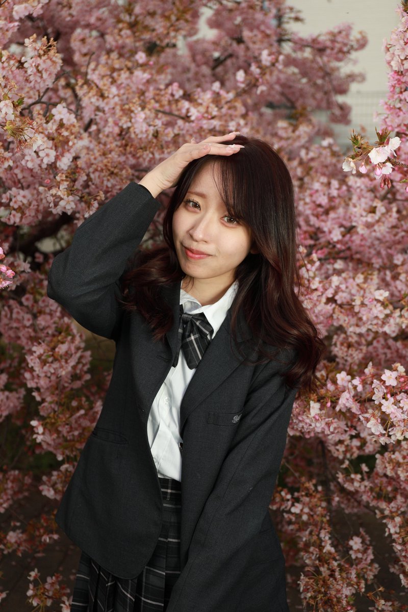 🦝ポンタ📸✨ tweet media