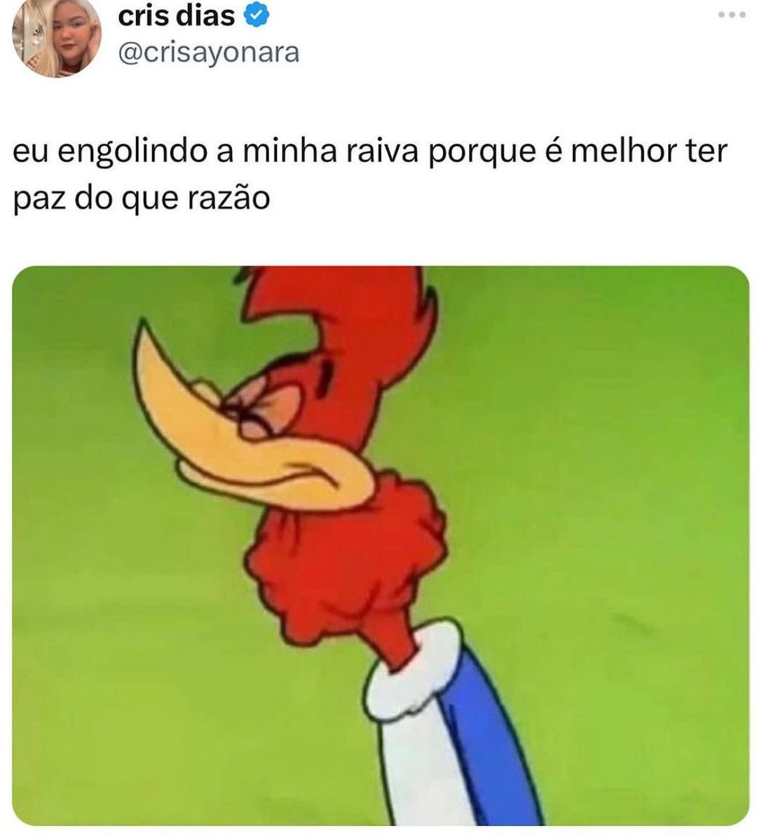 Traficante de Memes tweet media