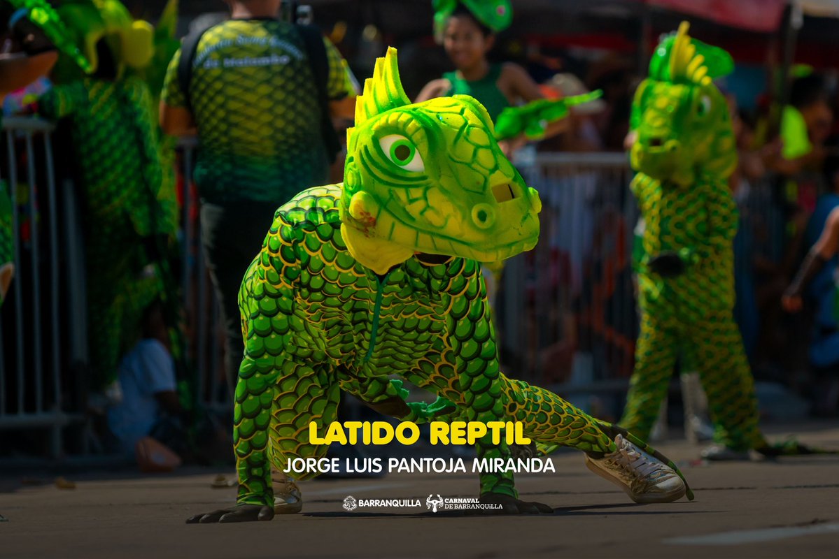 Carnaval de Barranquilla tweet media