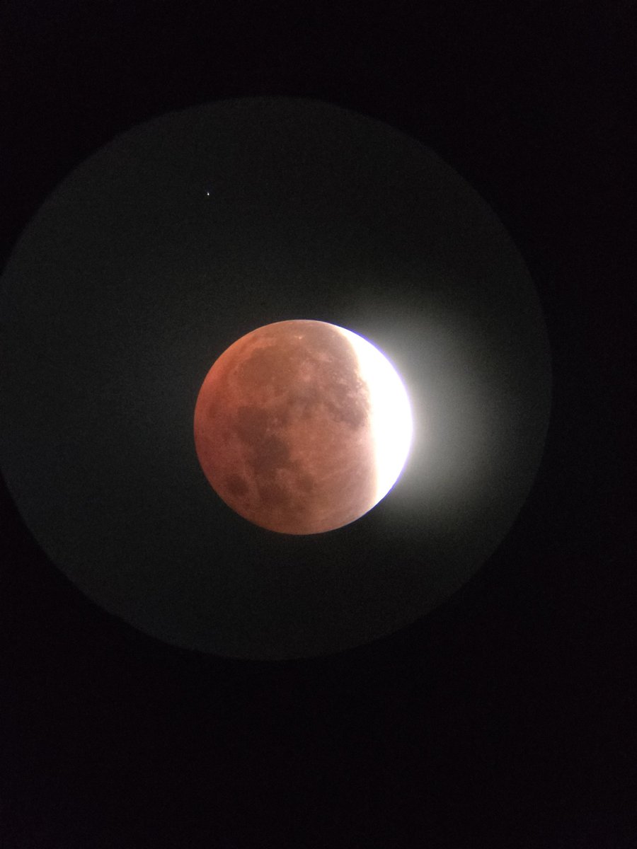 비컵&러브 부부 tweet media