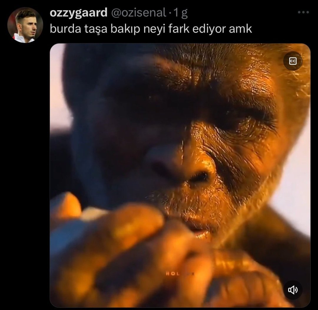 Sabun Yağızcıoğlu tweet media
