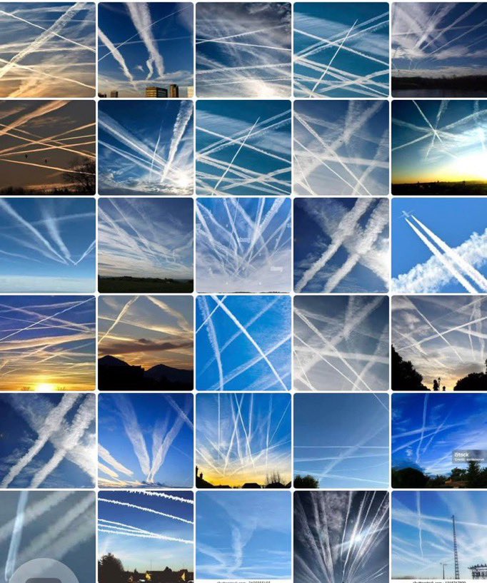 Mr. Nobody tweet media