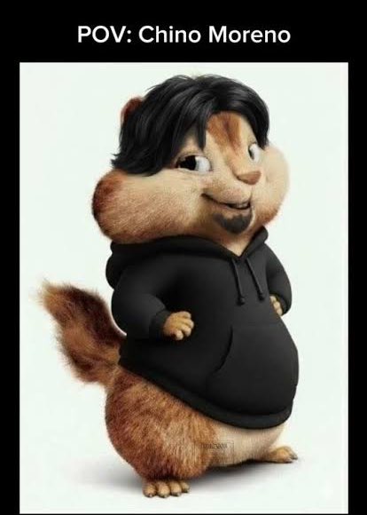 BeroCore tweet media