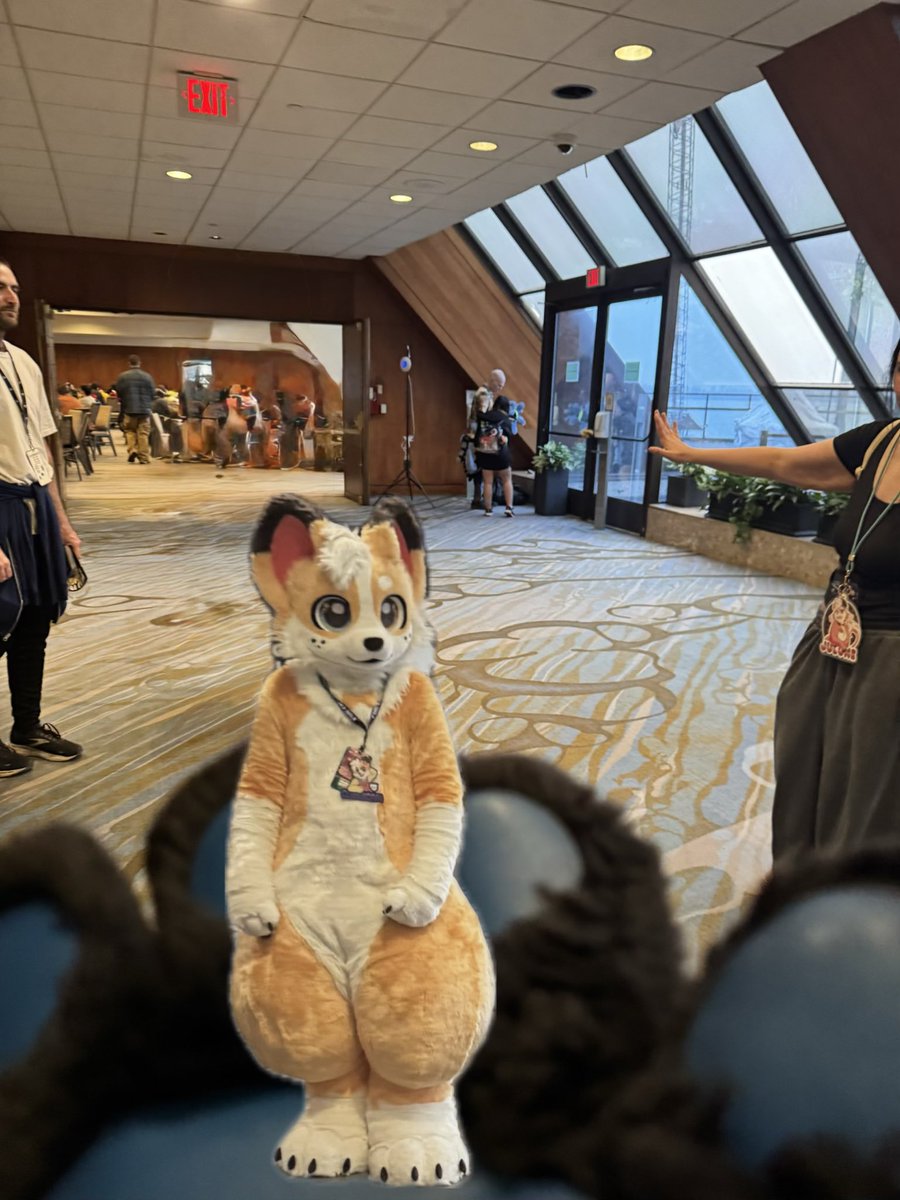 Howlie Tigerpaw the wolger at FE 🔜 FWA 🎃🌶️ tweet media