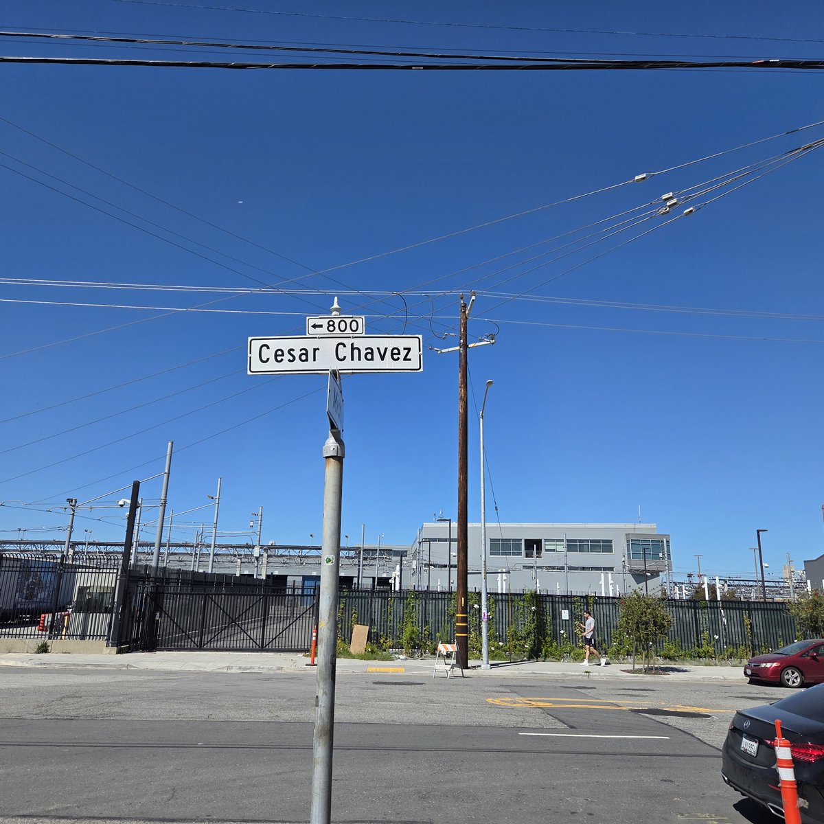 Stephen Martin-Pinto tweet media